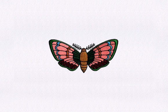 Detailed Moth Design: A Close-Up Review for Real Projects